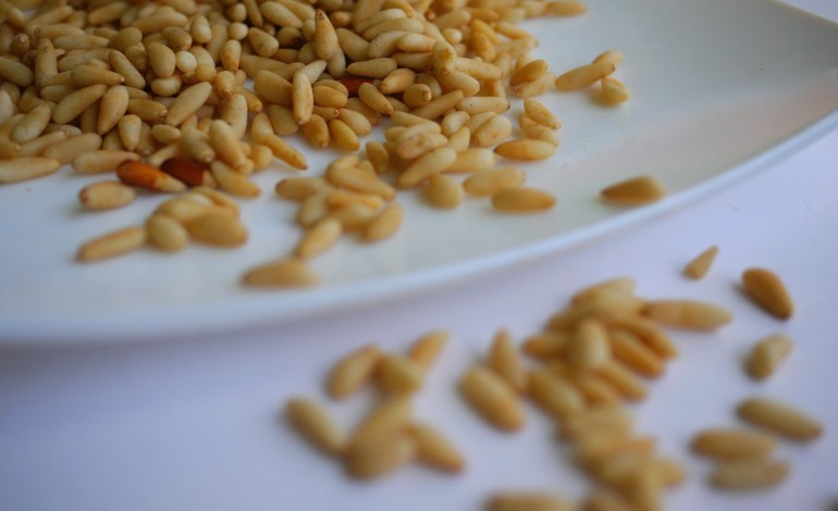 feira-dos-pinhoes-celebra-patrimonio-natural-e-cultural-de-ansiao