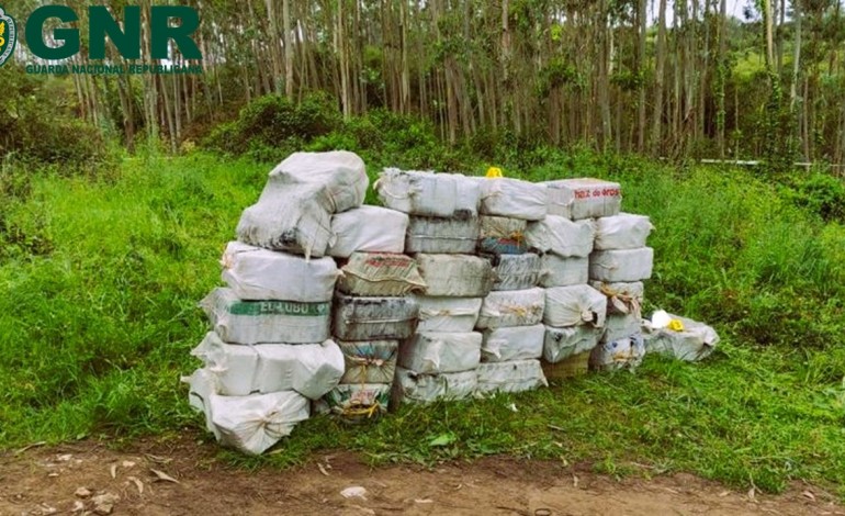 mais-de-12-toneladas-de-cocaina-apreendidas-em-obidos