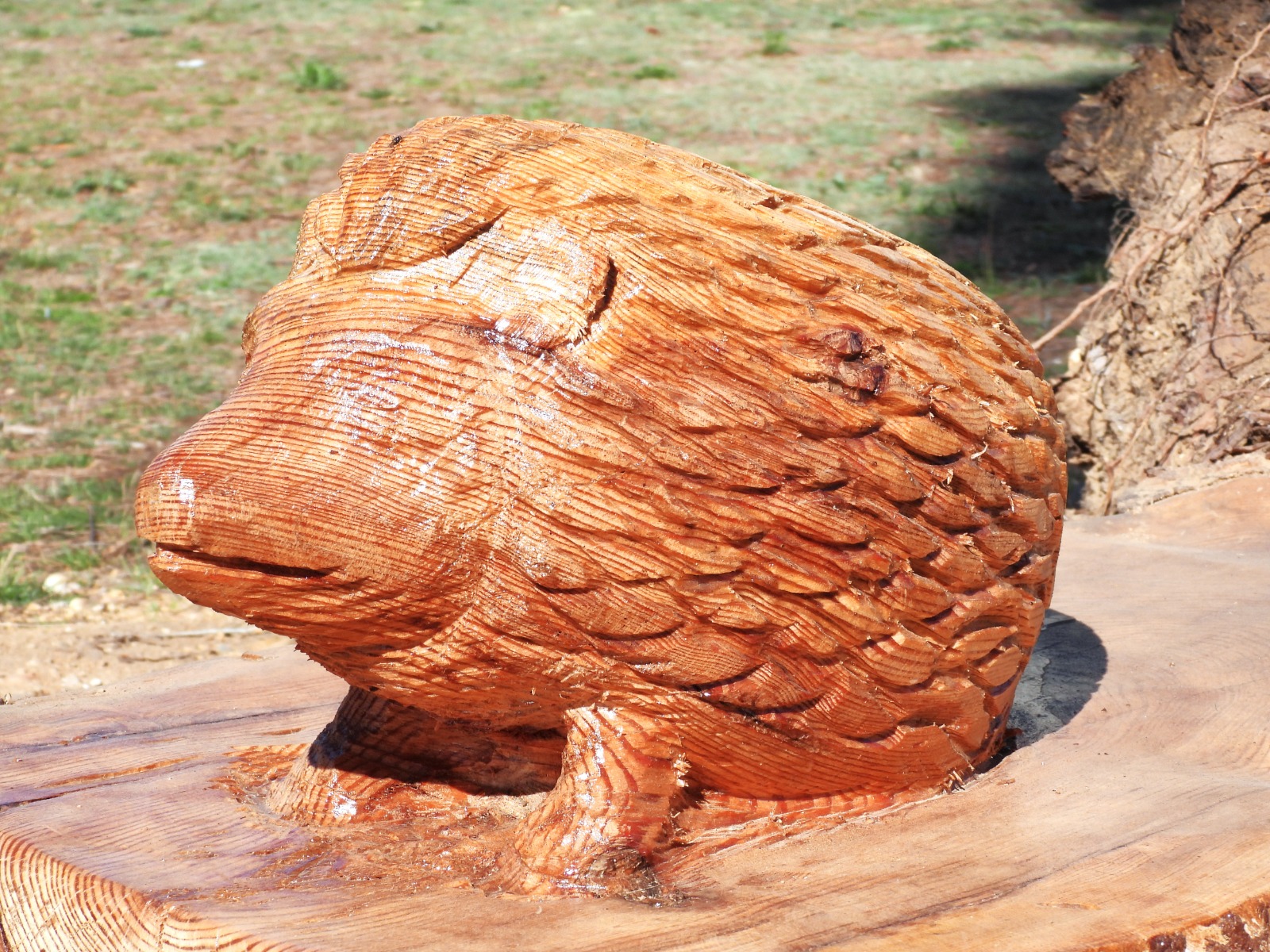 Escultor Zé Justino autor de parte das obras de arte no Parque Verde do Açude