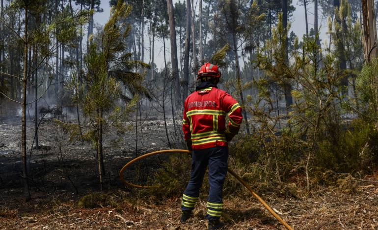 quatro-meios-aereos-e-130-operacionais-combatem-fogo-em-caldas-da-rainha