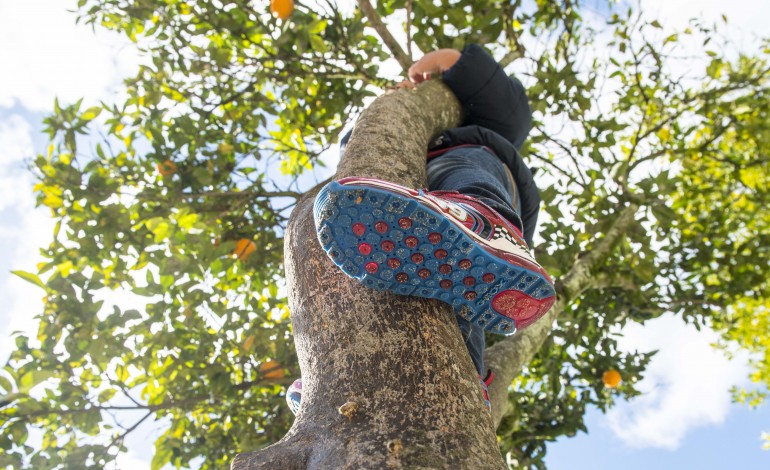 aumentou-numero-de-sinalizacoes-e-processos-reabertos-na-cpcj-de-ourem