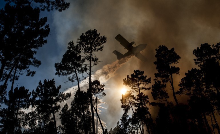 incendio-em-zona-de-mato-em-ourem-mobiliza-quatro-meios-aereos