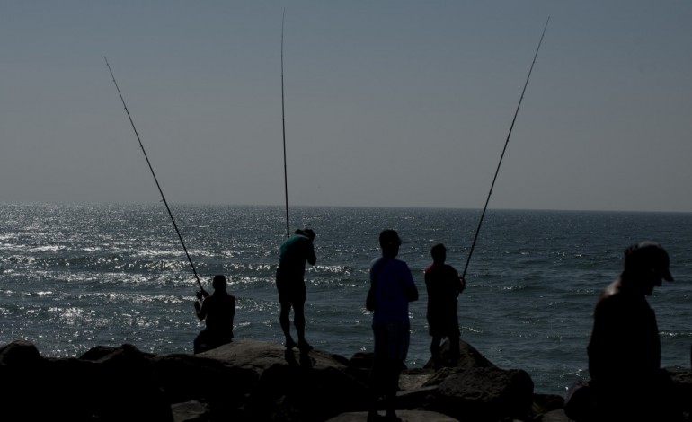 Fotografia: Ricardo Graça