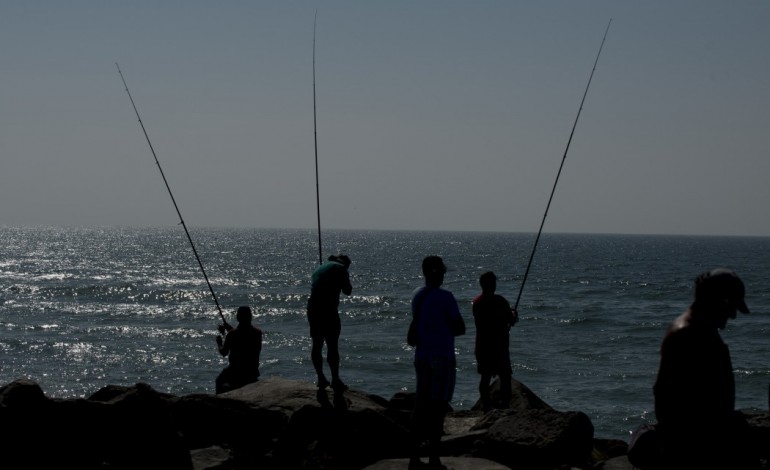 Fotografia: Ricardo Graça