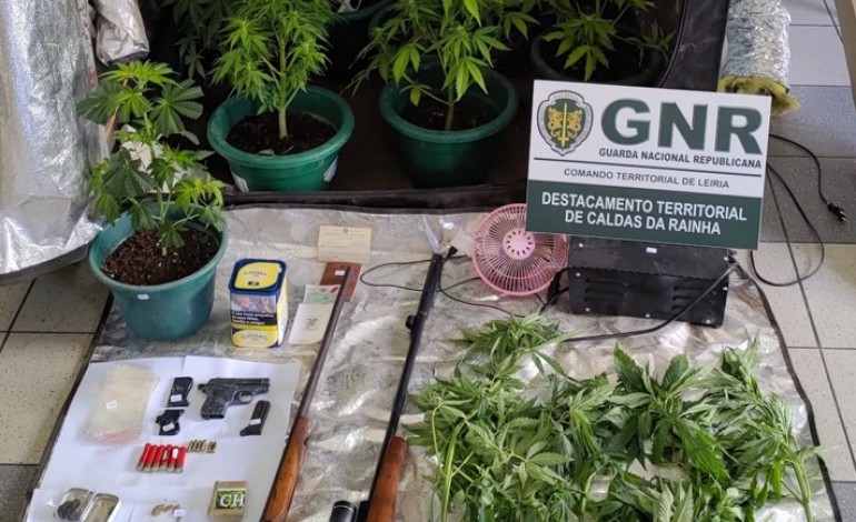 gnr-da-benedita-deteve-tres-homens-e-apreendeu-cocaina-haxixe-cannabis-e-armas-de-fogo