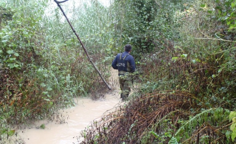 associacao-alerta-para-suspeita-de-nova-descarga-na-ribeira-dos-milagres