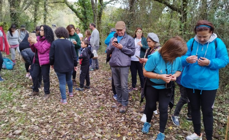 Caminhada convidou participantes a descobrir a floresta