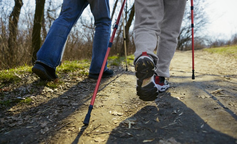 caminhada-de-accao-civica-e-sensibilizacao-ambiental-para-salvar-o-pinhal-do-rei