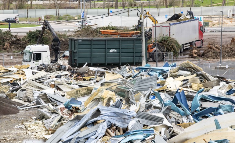 residuos-da-tempestade-estao-a-ganhar-nova-vida-como-materia-prima