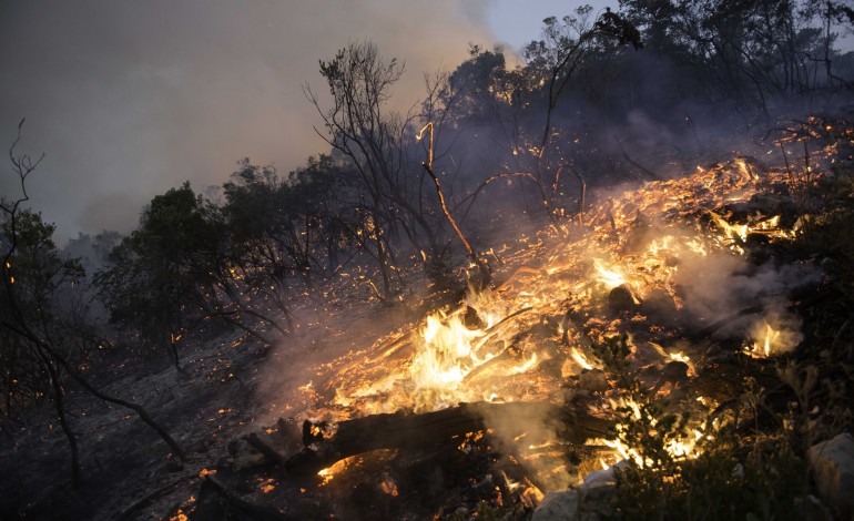 corpo-carbonizado-encontrado-durante-combate-a-fogo-em-santa-catarina-da-serra