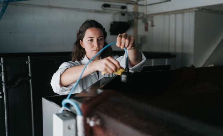 194 milhões de euros é a avaliação total atingida pelas startups ligadas ao mar