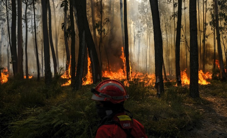 bombeiro-vitima-de-morte-subita-durante-combate-a-incendio-nas-caldas-da-rainha