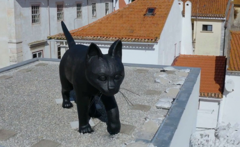 conhece-o-gato-preto-a-escultura-que-domina-os-telhados-de-leiria-10789