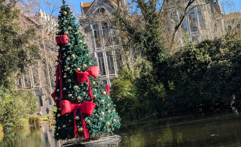 caldas-da-rainha-pode-ser-capital-europeia-do-pequeno-retalho