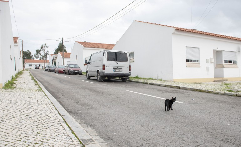 ha-179-familias-a-espera-de-habitacao-social-em-leiria