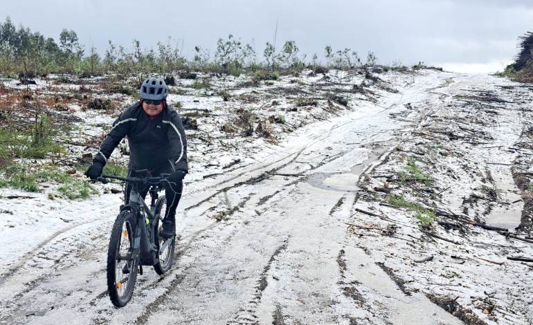 Efeito da queda de granizo na zona da Serra do Branco