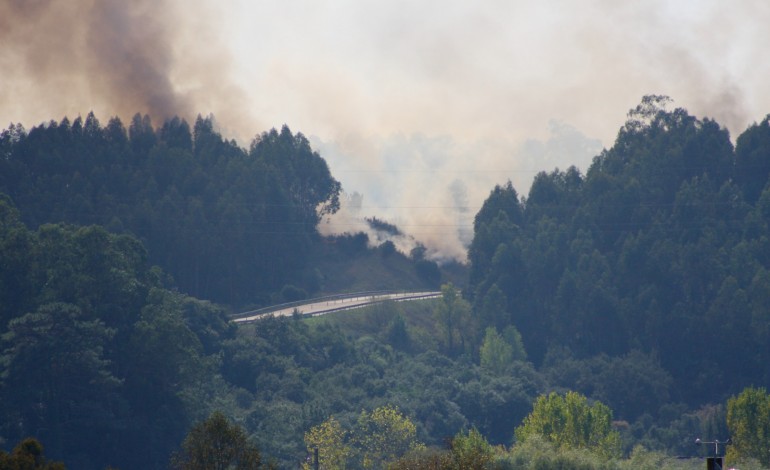 Incêndio deflagrou na zona do Picheleiro