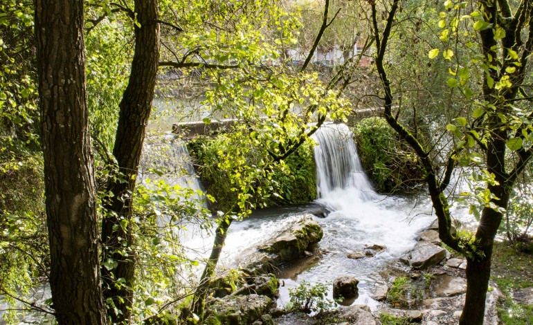 oikos-e-pato-intentam-providencia-cautelar-para-travar-retirada-de-professores-de-projectos-ambientais