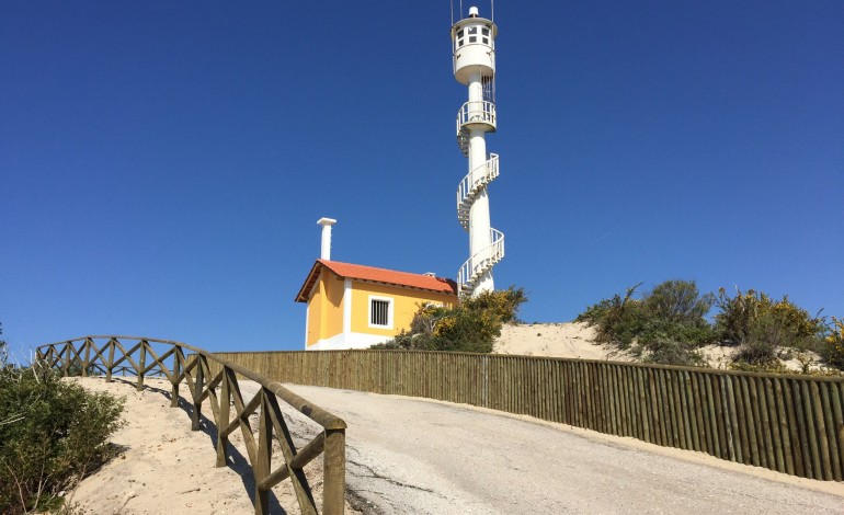 icnf-investiu-275-mil-euros-na-melhoria-de-areas-de-lazer-das-matas-litorais