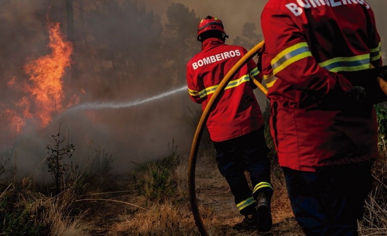 internamento-ate-12-anos-para-autor-de-incendio-florestal-em-figueiro-dos-vinhos