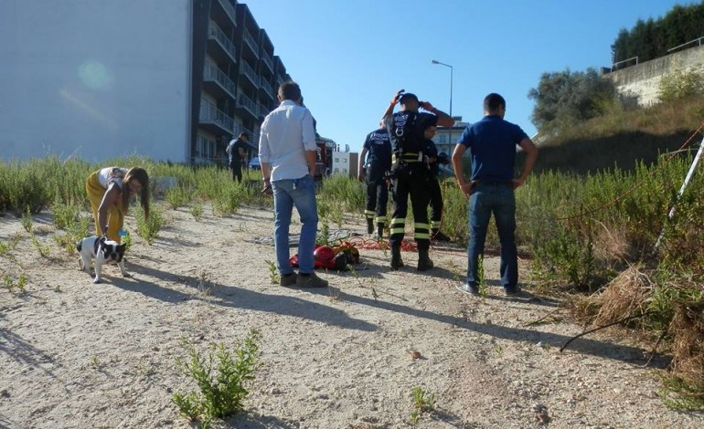 Fotografia: Bombeiros Municipais de Leiria