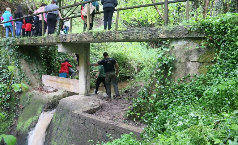 Conhecer e Viver a Protecção Civil