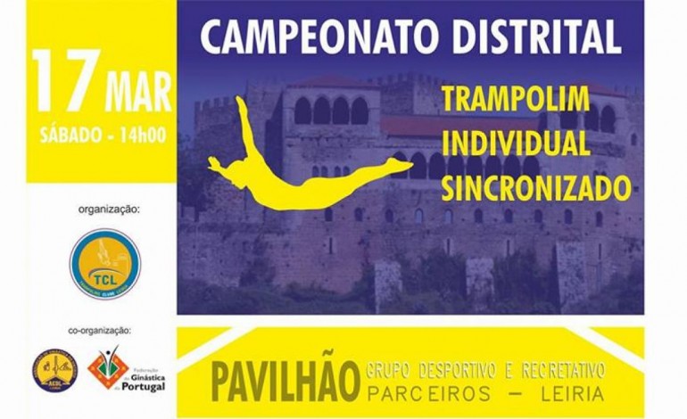 campeonato-de-trampolim-anima-leiria-no-sabado-8309