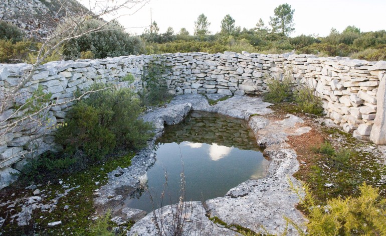 projecto-de-restauro-da-natureza-vai-abranger-serras-de-aire-e-candeeiros