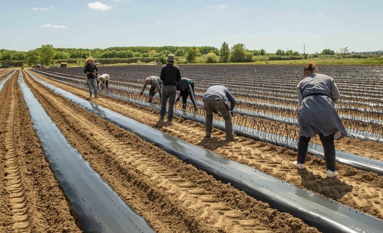 direccao-da-uniao-dos-agricultores-do-distrito-de-leiria-demitiu-se