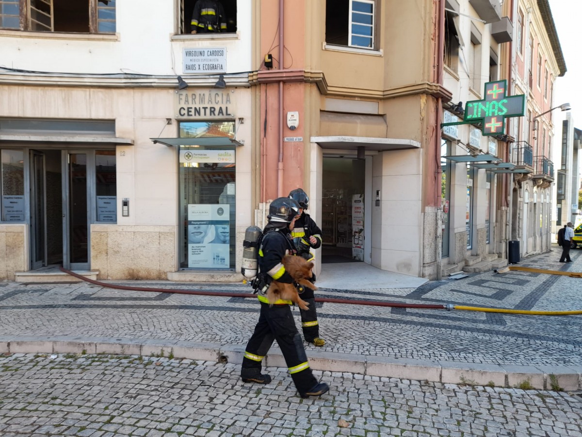 Bombeiros combatem fogo em Leiria