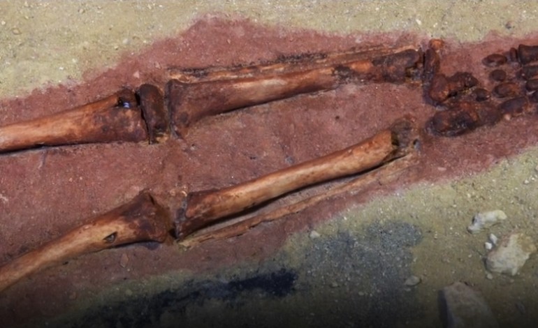 Há 29.000 anos era uma vez a criança do Lapedo