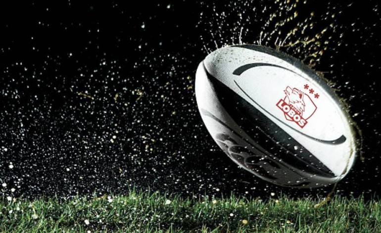 os-lobos-e-caldas-avancam-com-equipas-conjuntas-no-campeonato-nacional-de-rugby