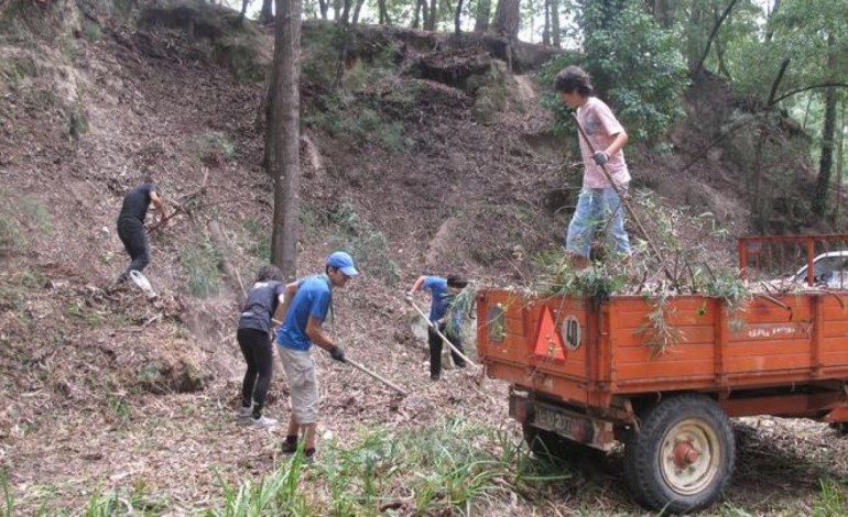 fiscalizacao-a-limpeza-dos-terrenos-inicia-se-hoje-8440