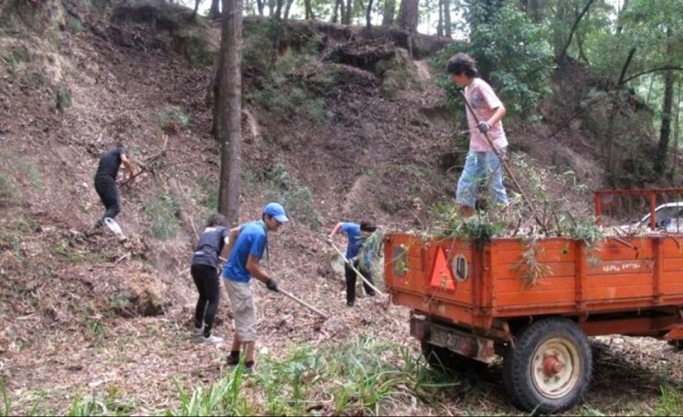 marinha-grande-limpeza-de-terrenos-obrigatoria-ate-15-de-marco-9786