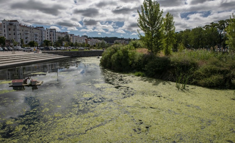 Abaixamento dos níveis freáticos na ribeira do Amparo impede renovação de água