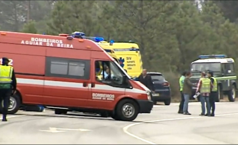 operacao-stop-leiria-esta-a-ajudar-caca-ao-homem-5181