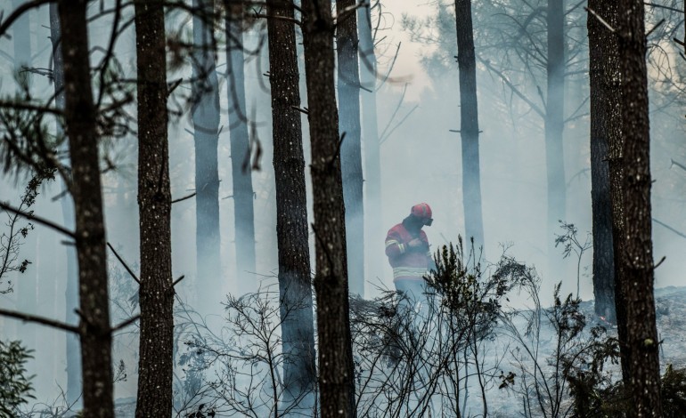 presidente-da-republica-defende-formula-para-compatibilizar-apoios-com-casos-limite-nos-incendios