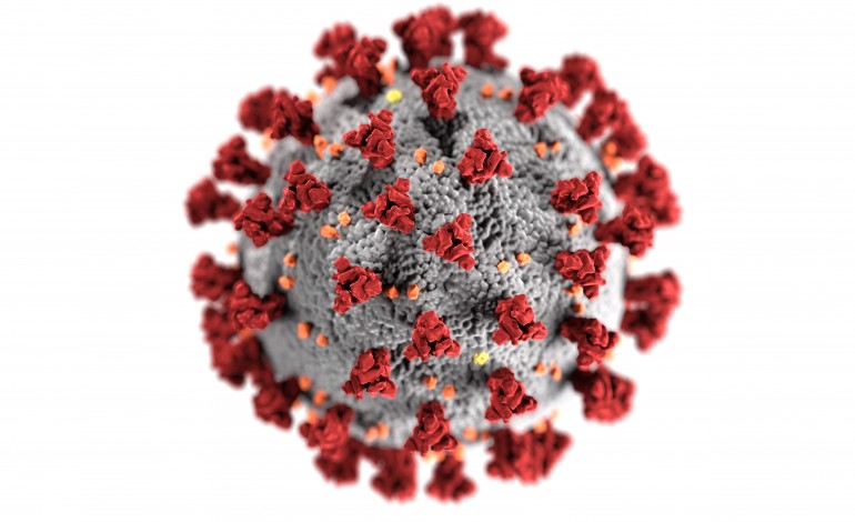 covid-19-distrito-regista-mais-102-infeccoes-em-24-horas