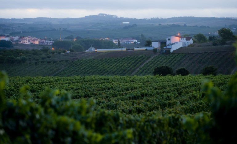 parlamento-aconselha-governo-a-criacao-de-nut-ii-para-a-leziria-do-tejo-medio-tejo-e-regiao-oeste