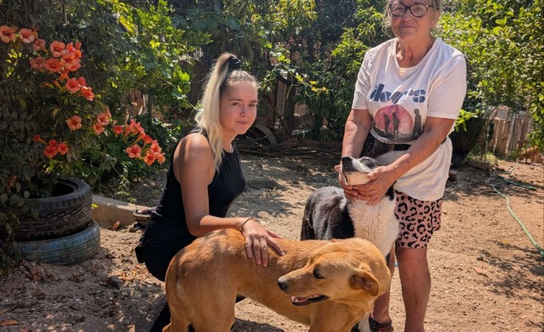 santuario-da-fatima-nas-meirinhas-acolhe-animais-doentes-e-abandonados