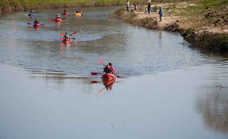 Fotografia: Remar Contra a Corrente I