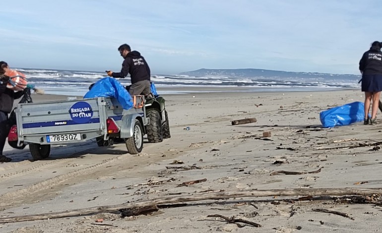 Voluntários da Brigada do Mar limpam praia entre São Pedro e a Figueira da Foz