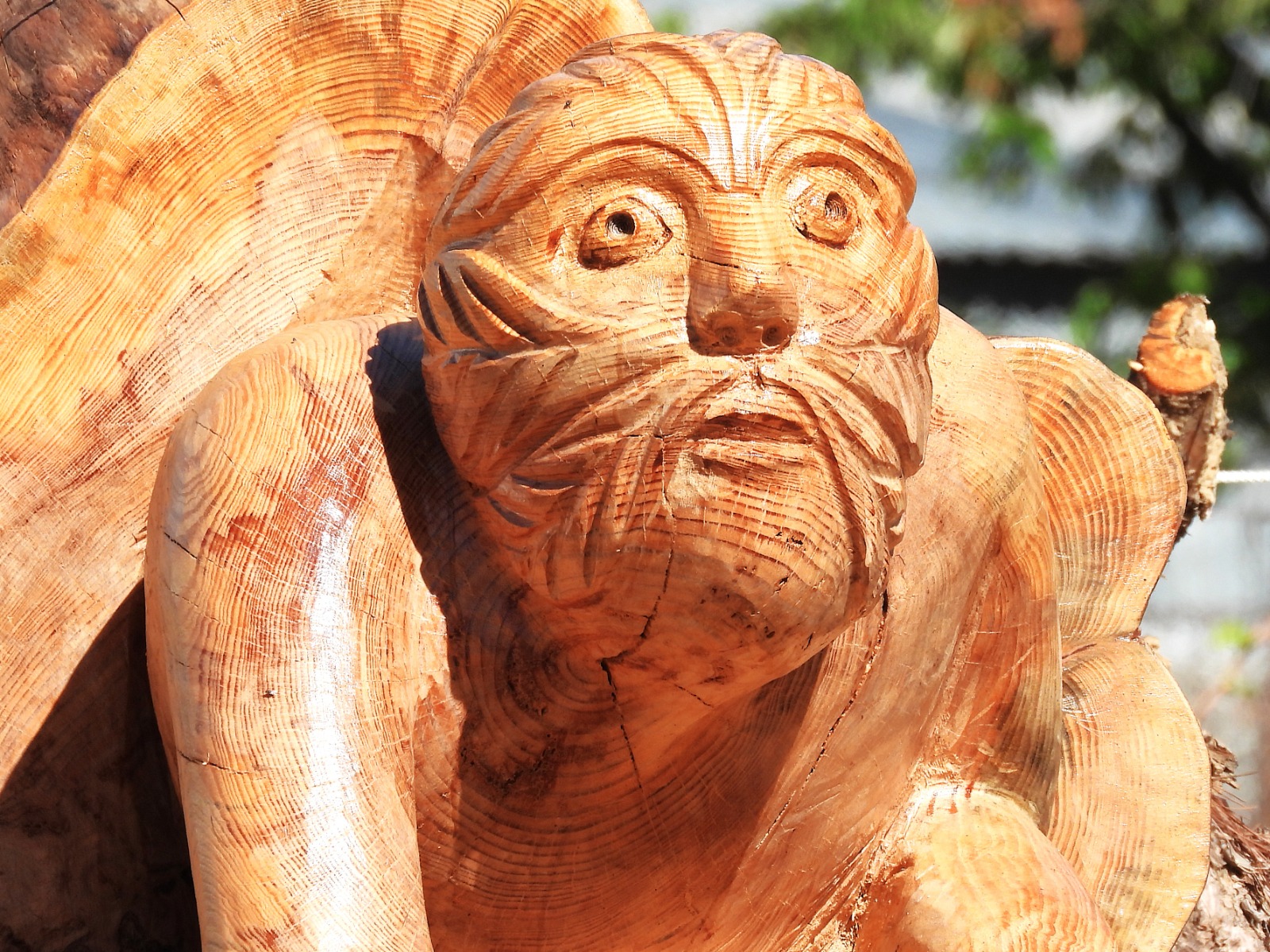 Escultor Zé Justino autor de parte das obras de arte no Parque Verde do Açude