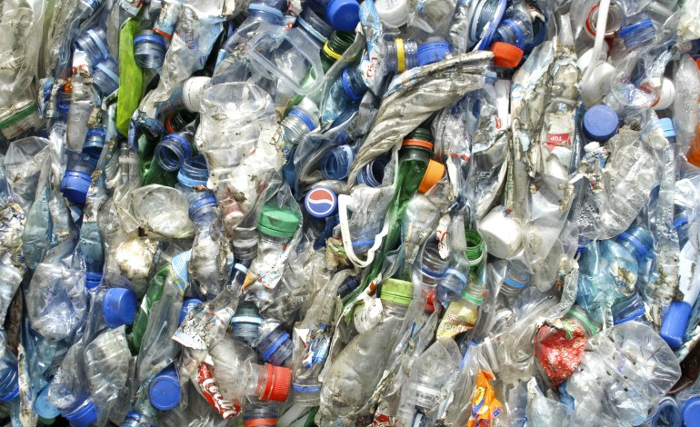 reciclagem-na-regiao-aumentou-4percent-no-ultimo-ano