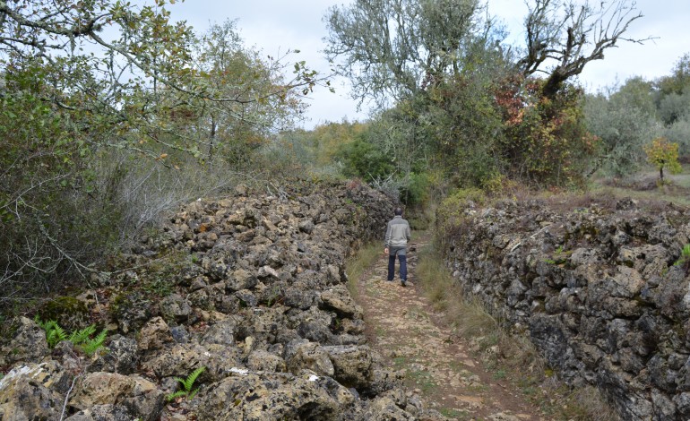 despovoamento-da-serra-de-sico-discutido-na-redinha