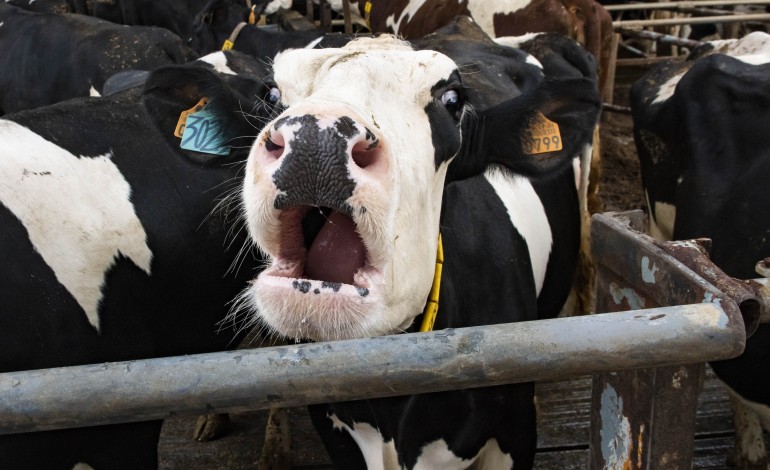 guerra-faz-disparar-preco-do-gas-e-traz-factura-pesada-para-o-sector-do-vidro