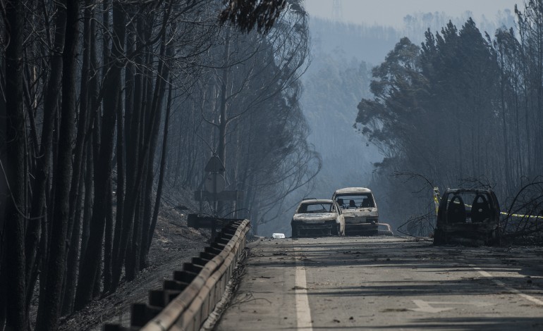 comissao-tecnica-admite-que-limpeza-das-faixas-de-gestao-faria-pouca-diferenca-no-incendio-de-pedrogao-grande