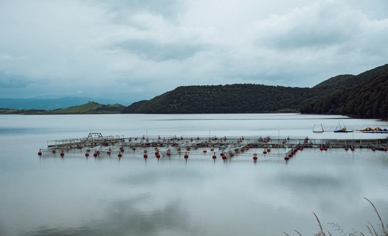 alteracoes-climaticas-podem-fazer-desaparecer-algumas-especies-de-peixes