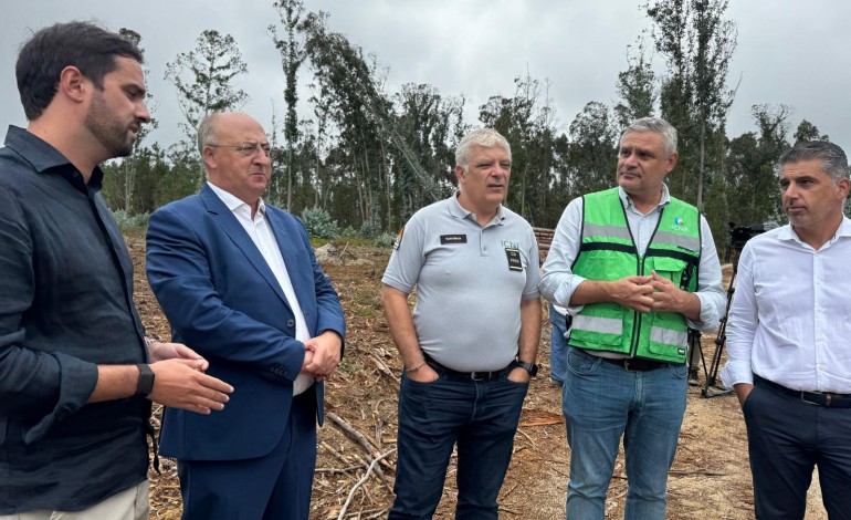 concelho-de-leiria-recebe-92-me-de-apoio-para-remover-material-lenhoso