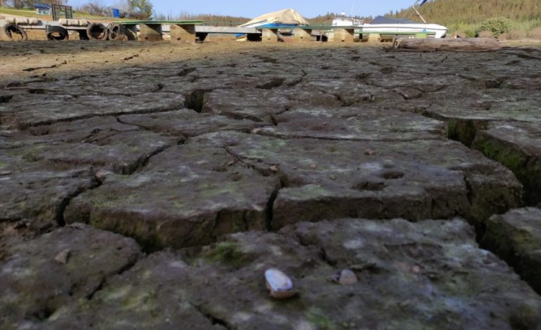 queixa-climatica-de-jovens-de-leiria-sobe-a-cupula-do-tribunal-europeu-dos-direitos-humanos